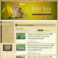 solarraincats